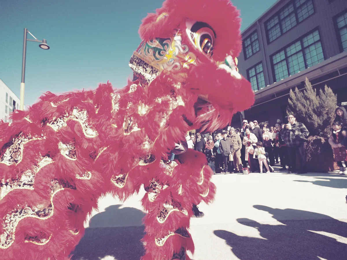 Lunar New Year photograph 10